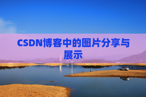 CSDN博客中的图片分享与展示